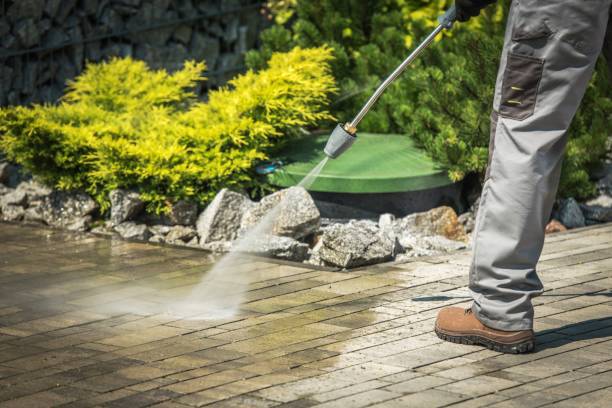 Spring Cleaning in Takoma Park, MD
